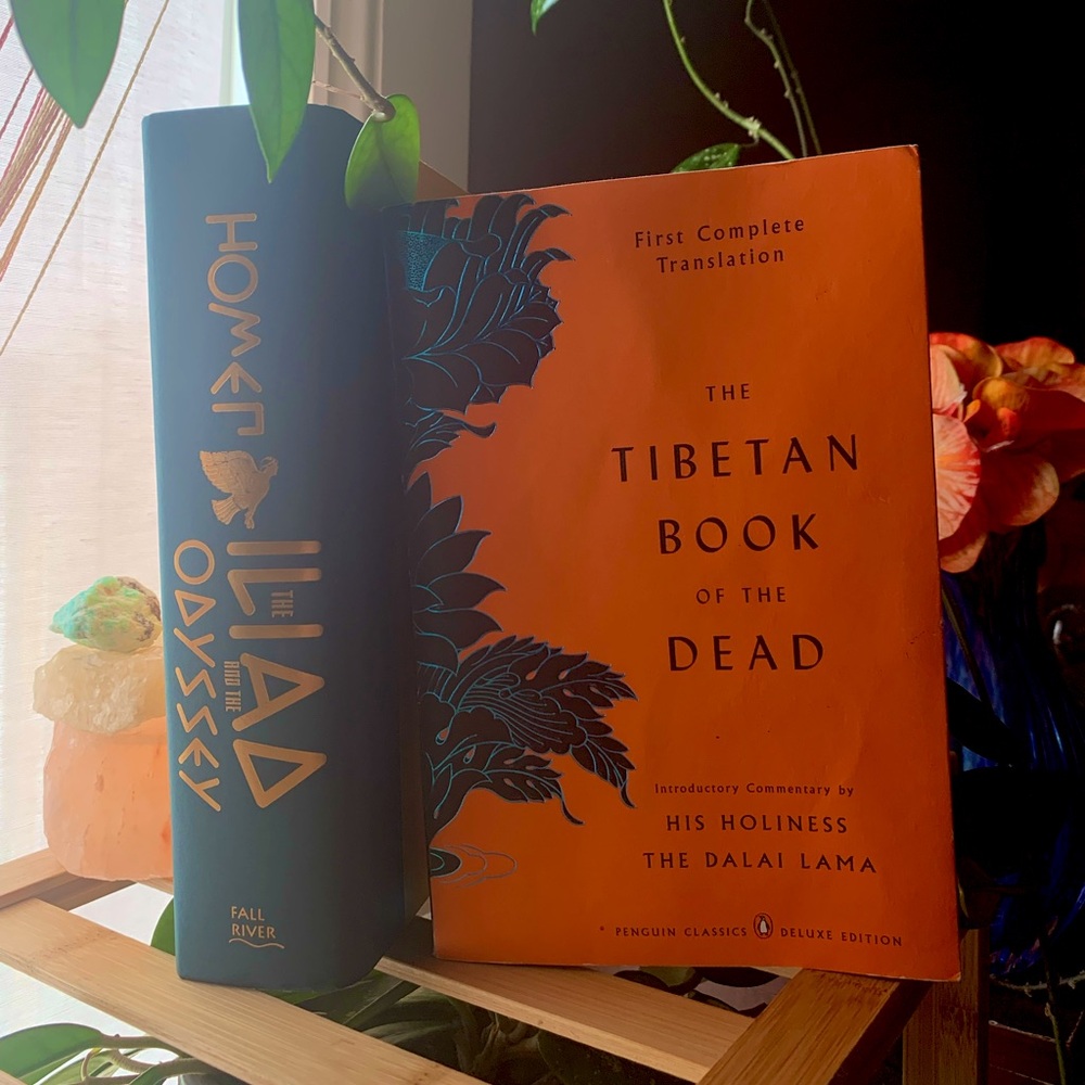 Timeless/Classic Book Bundle